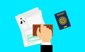 Immigration visa